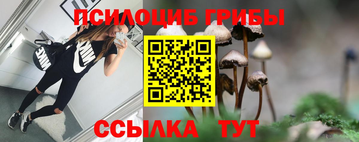 Псилоцибиновые грибы прущие грибы  Вход с VPN  Галлюциногенные грибы Psilocybe  закладки  Красноперекопск 